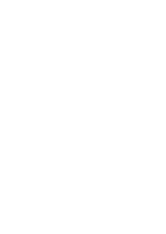 TNGIZT logo